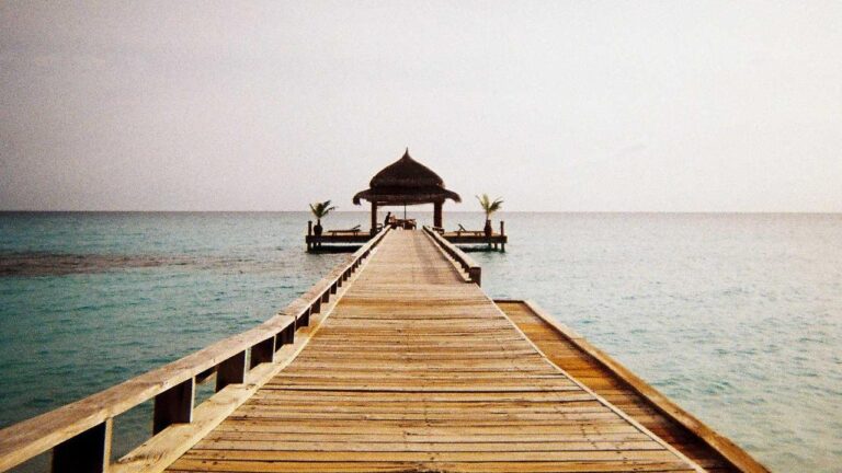 How To Play Ipl Matches On Cricbet99?